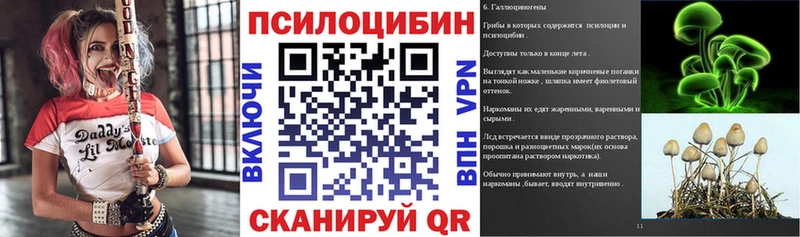 где найти наркотики  Спасск-Дальний  Галлюциногенные грибы Cubensis 